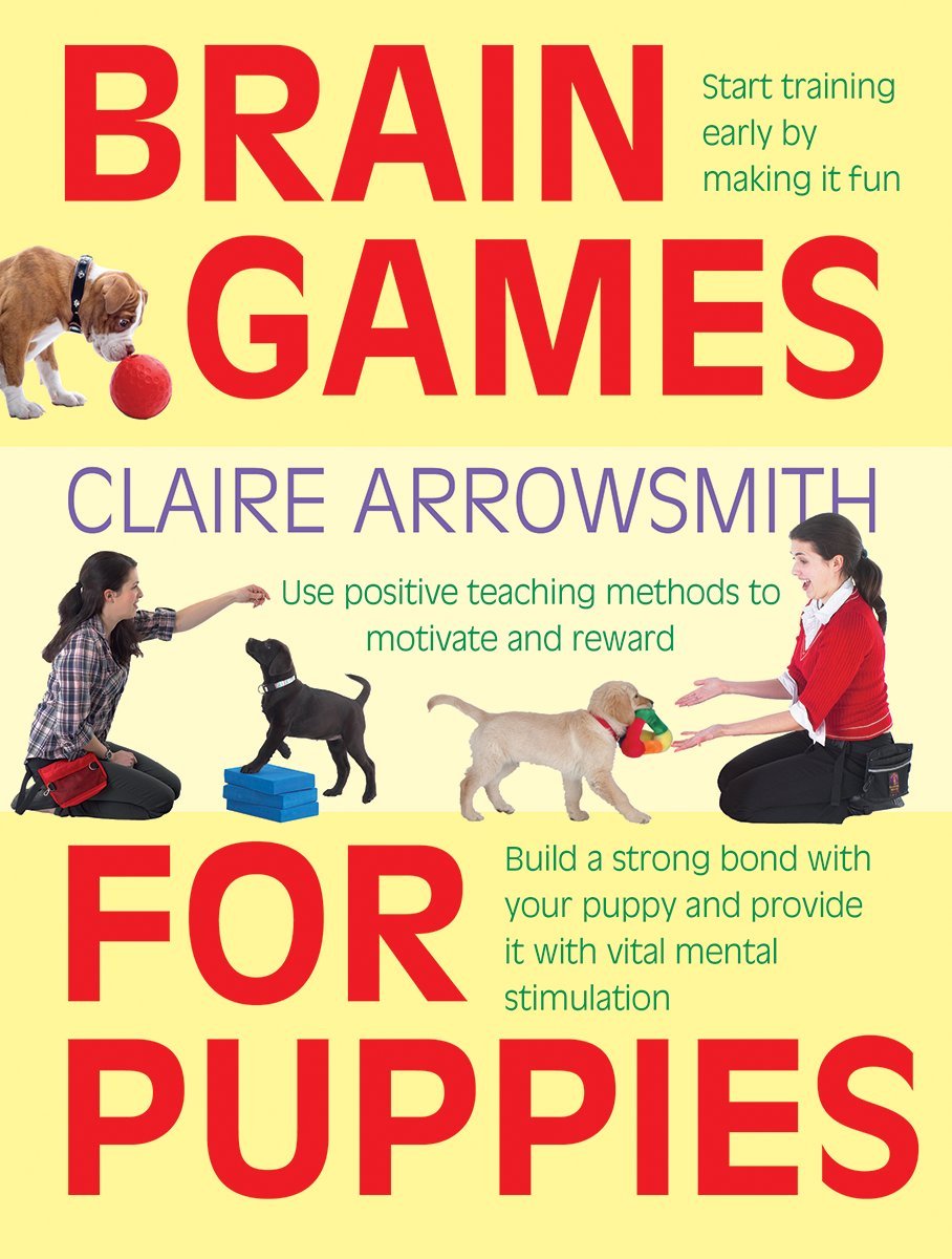 Brain Games for Puppies: Amazon.co.uk: Arrowsmith, Claire: 9781770854017:  Books