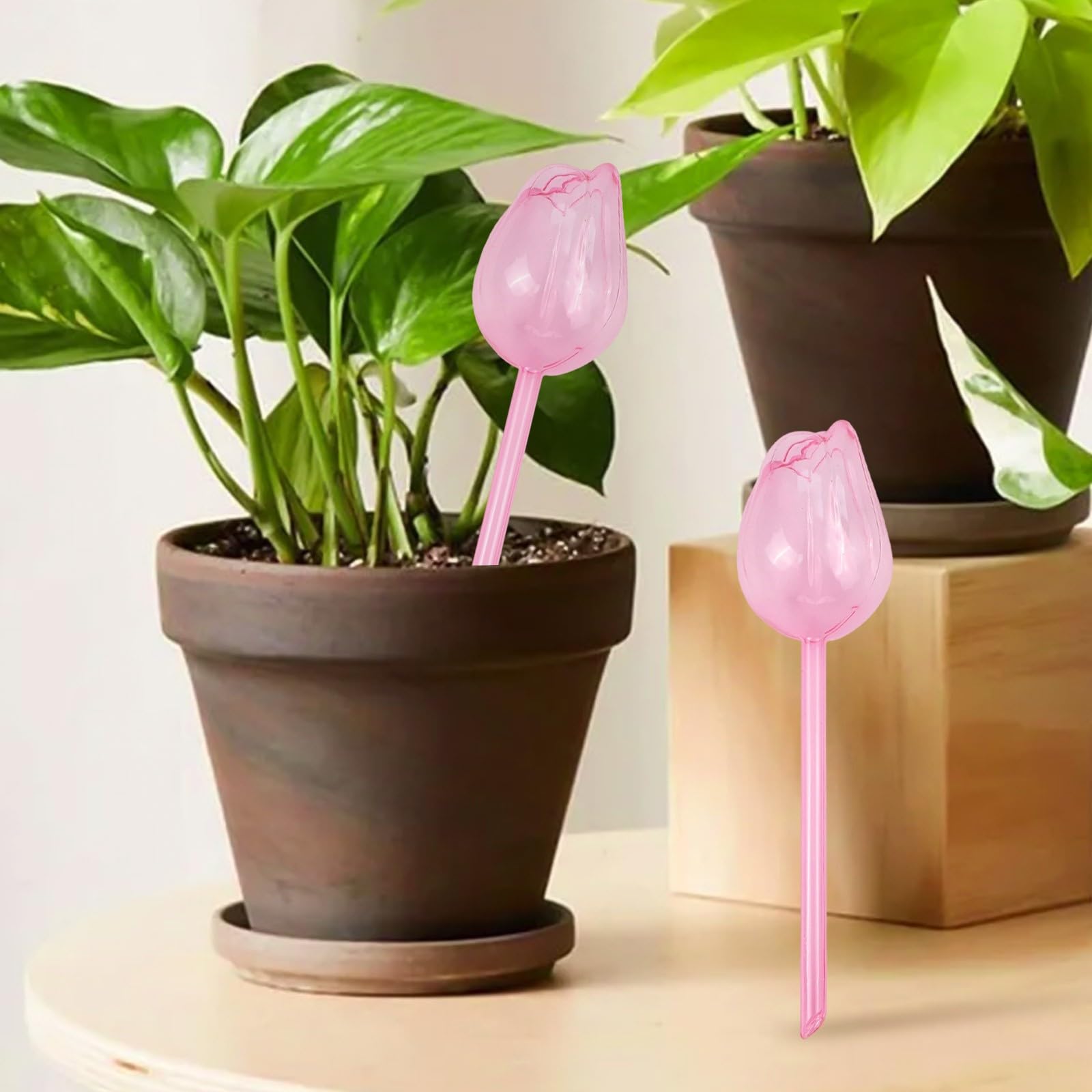 Lot de 10 globes d'arrosage en forme de tulipe pour plantes, dispositif d'arrosage automatique avec goutteur en PVC, fournitures d'irrigation de jardin d'intérieur et d'extérieur Rose