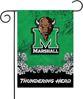 Rico Industries NCAA Unisex-Adult GFL Garden Flag - Standard - NCAA