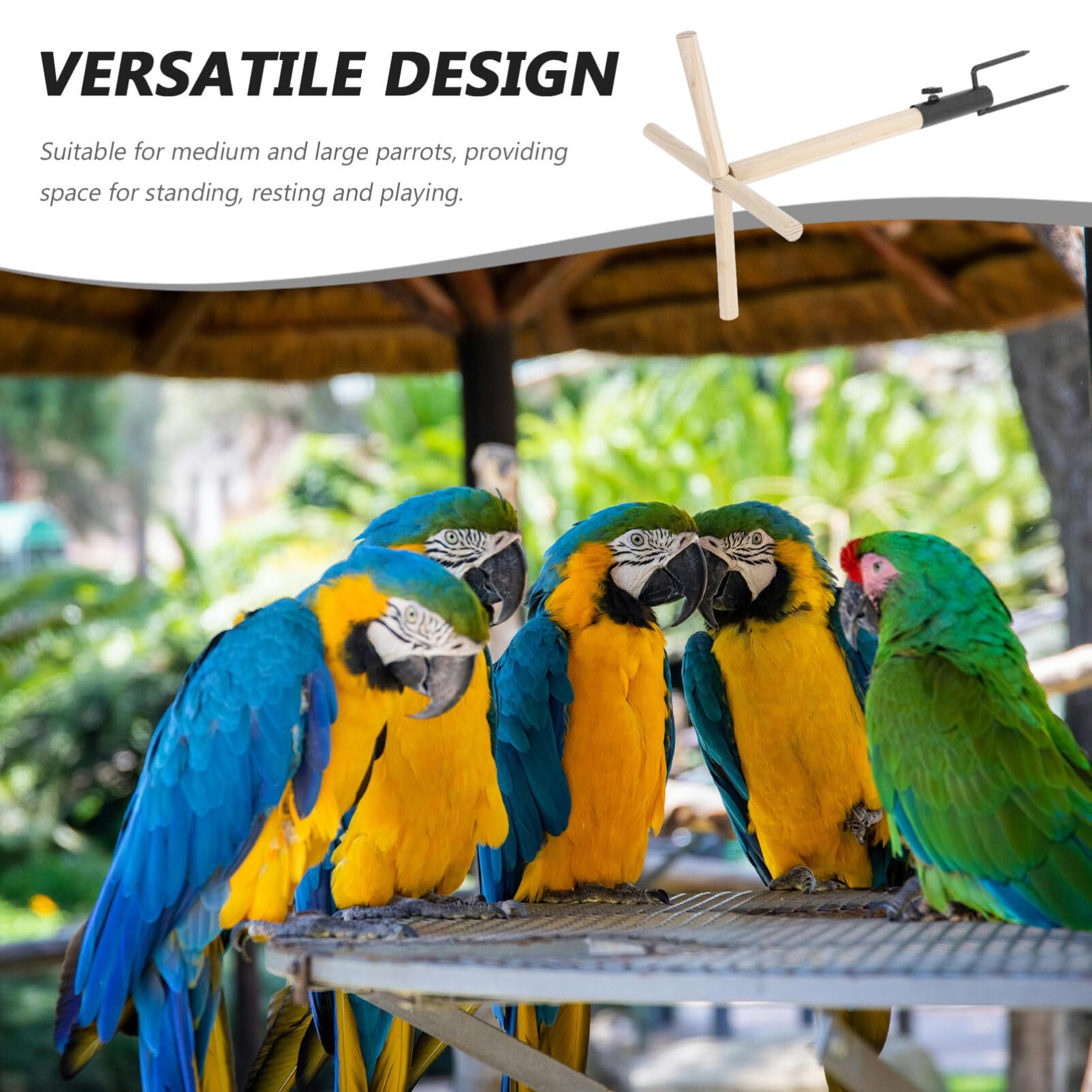 HANABASS Soporte De Madera para Pollos y Aves Exóticas Perchero para Entrenamiento De Aves para Gallinas y Loros Diseño Práctico y Funcional Estimula El Ejercicio Coordinación