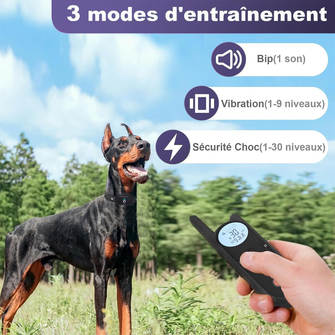 Clôture Électronique pour Chien,8M à 1050M Ajustable Clôture avec Télécommande de Dressage,Résistant à L’Eau Collier de Dressage pour Chien de Moyennes et Grande