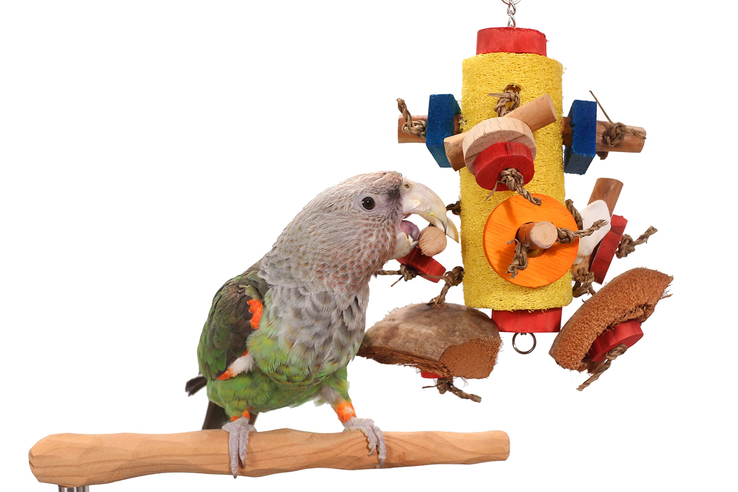 Loofah Parade - Shreddable Parrot Toy (Medium)
