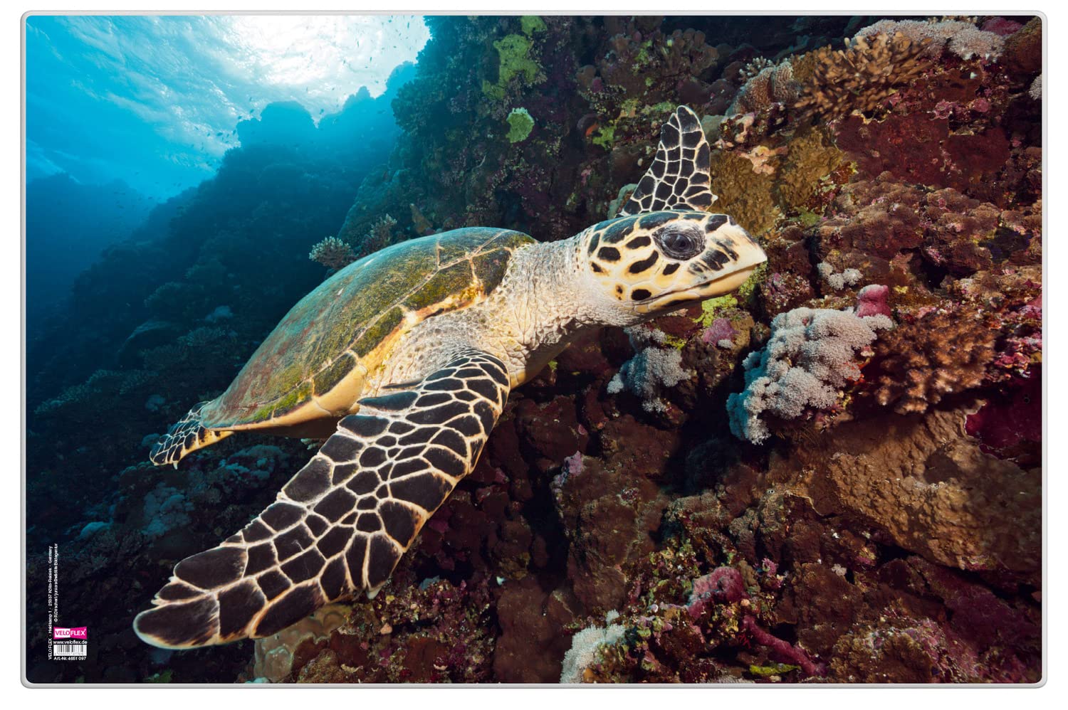 Sous-main de bureau tortue effaçable et antidérapant VELOFLEX - 2