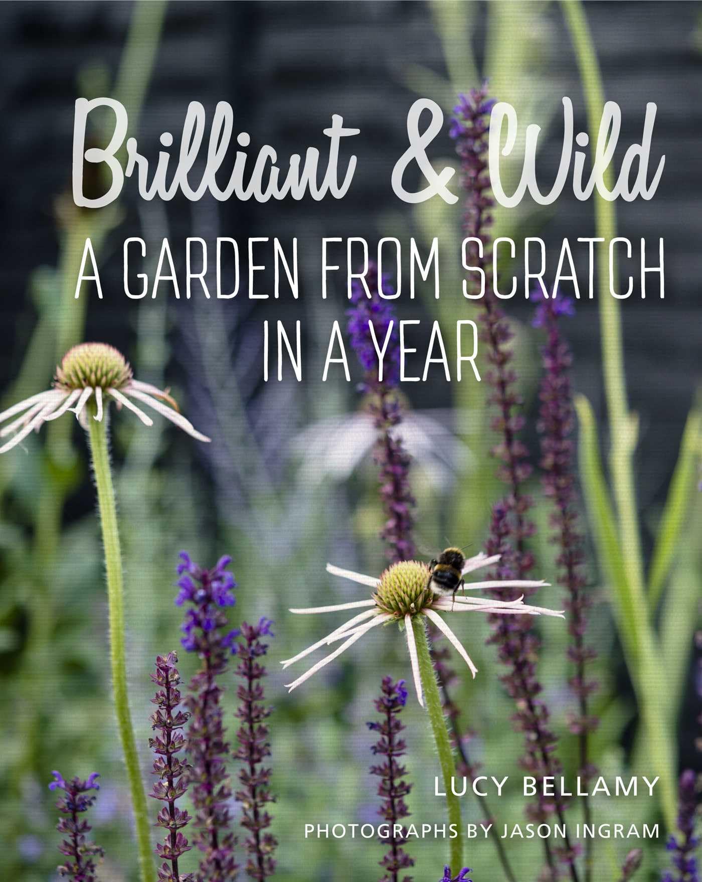 Brilliant and Wild: A Garden from Scratch in a Year By Lucy Bellamy