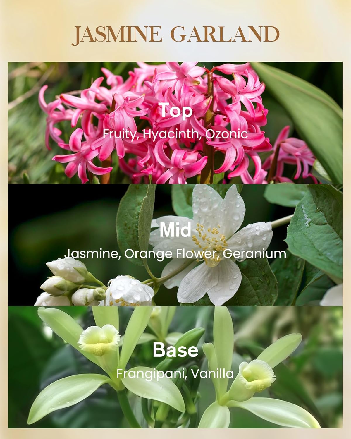 M&SENSE Jasmine Candles Highly Scented 3 Wick 35oz 150 Hours Burn Extra Large Jar Candles for Women, Natural Soy Wax Aromatherapy Candle for Stress Relief, Meditation, Yoga, Spa - Image 2