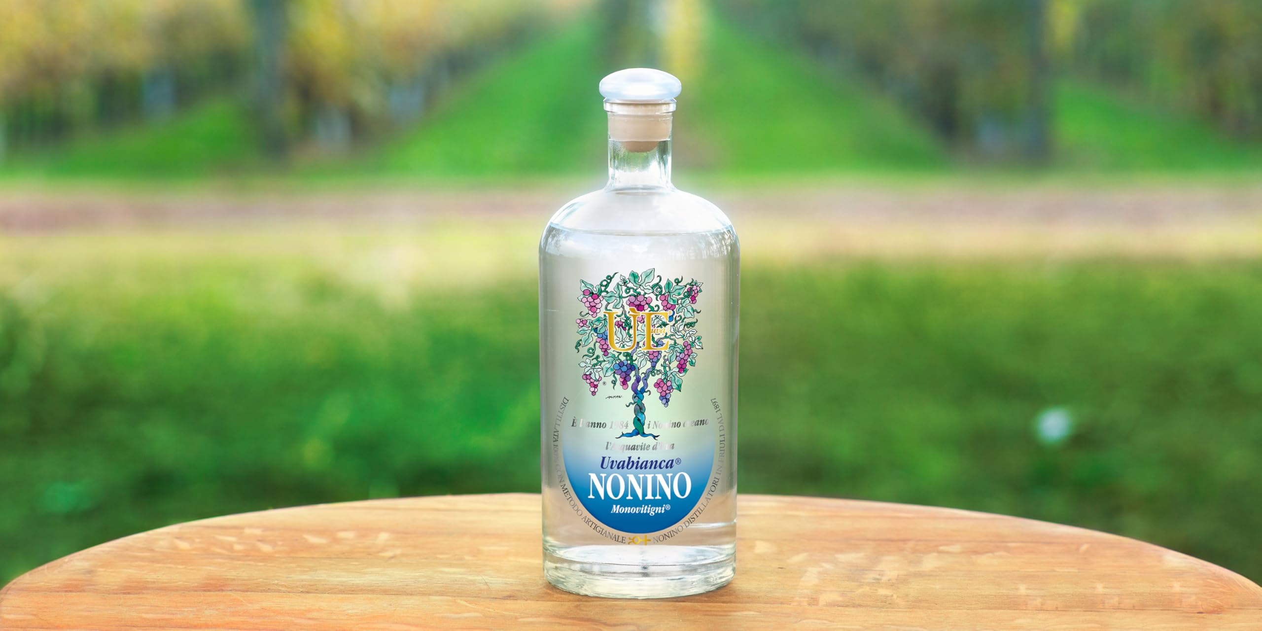 Nonino Grappa Ue Uvabianca Monovitigni 38% vol. in Geschenkverpackung (1 x 0,7 l)