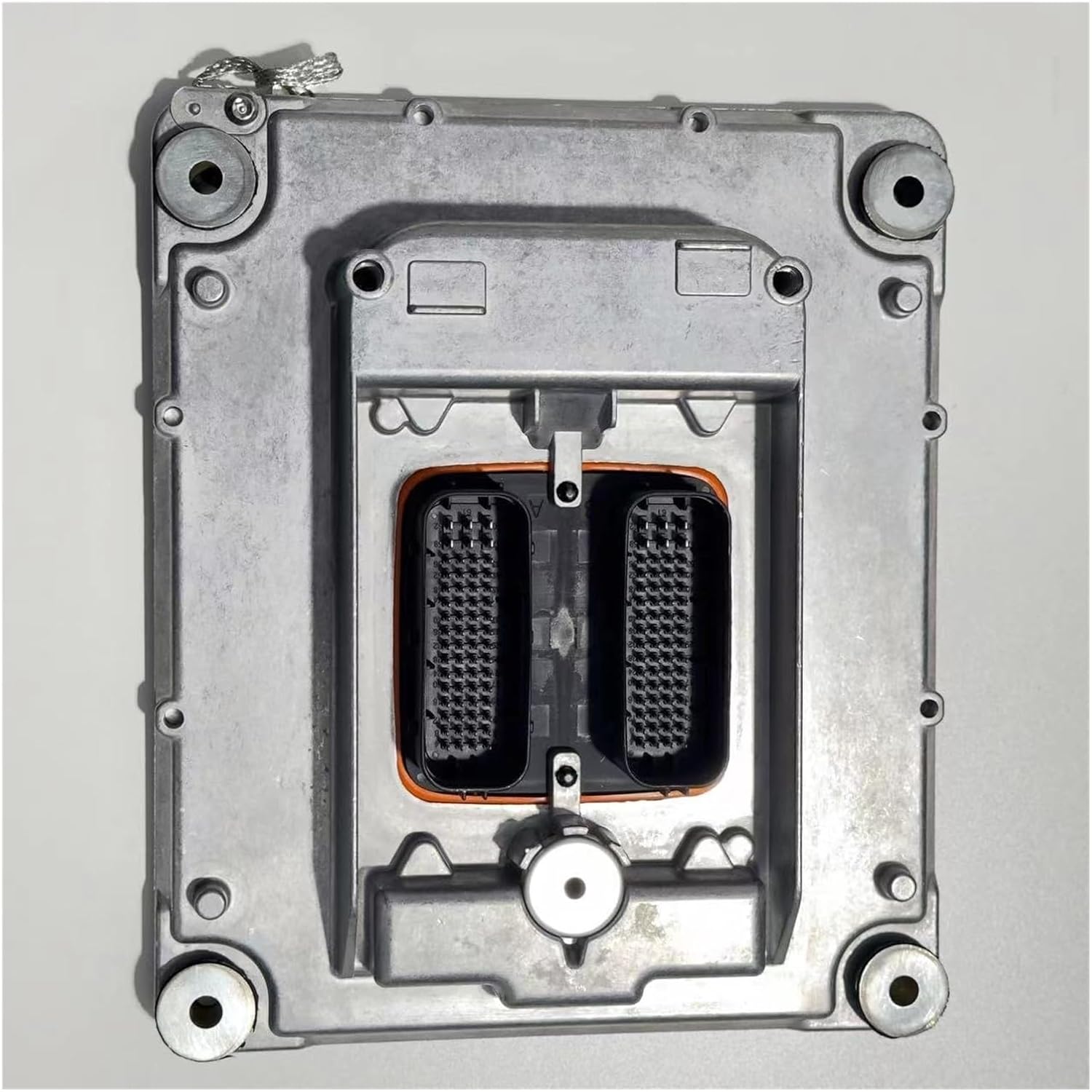 現在入手困難 新品】三本木 森兵衛 A+Ω 美品 観賞 登り木 止まり木