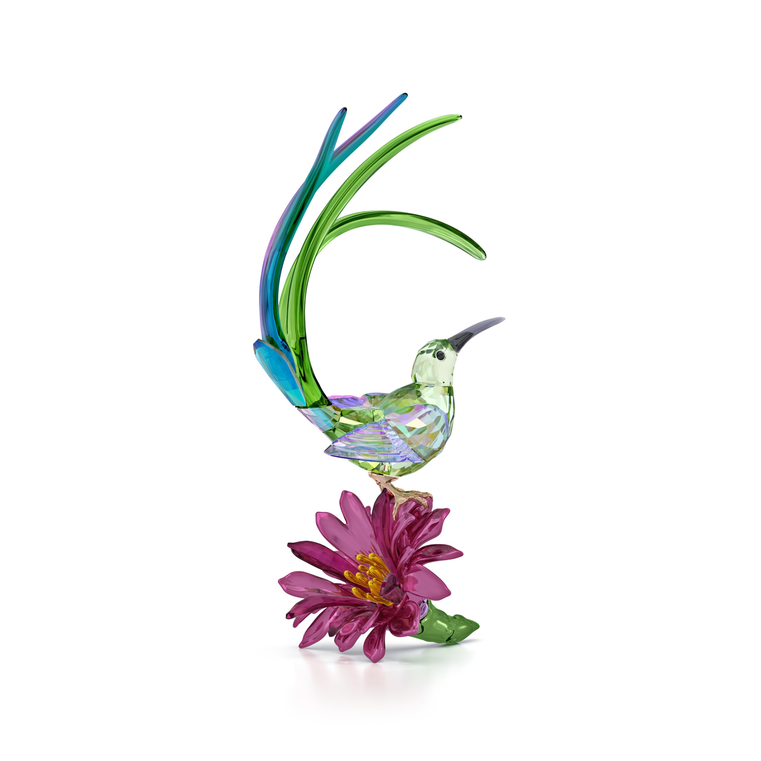 Swarovski Figurine Promérops & Fleur de cactus