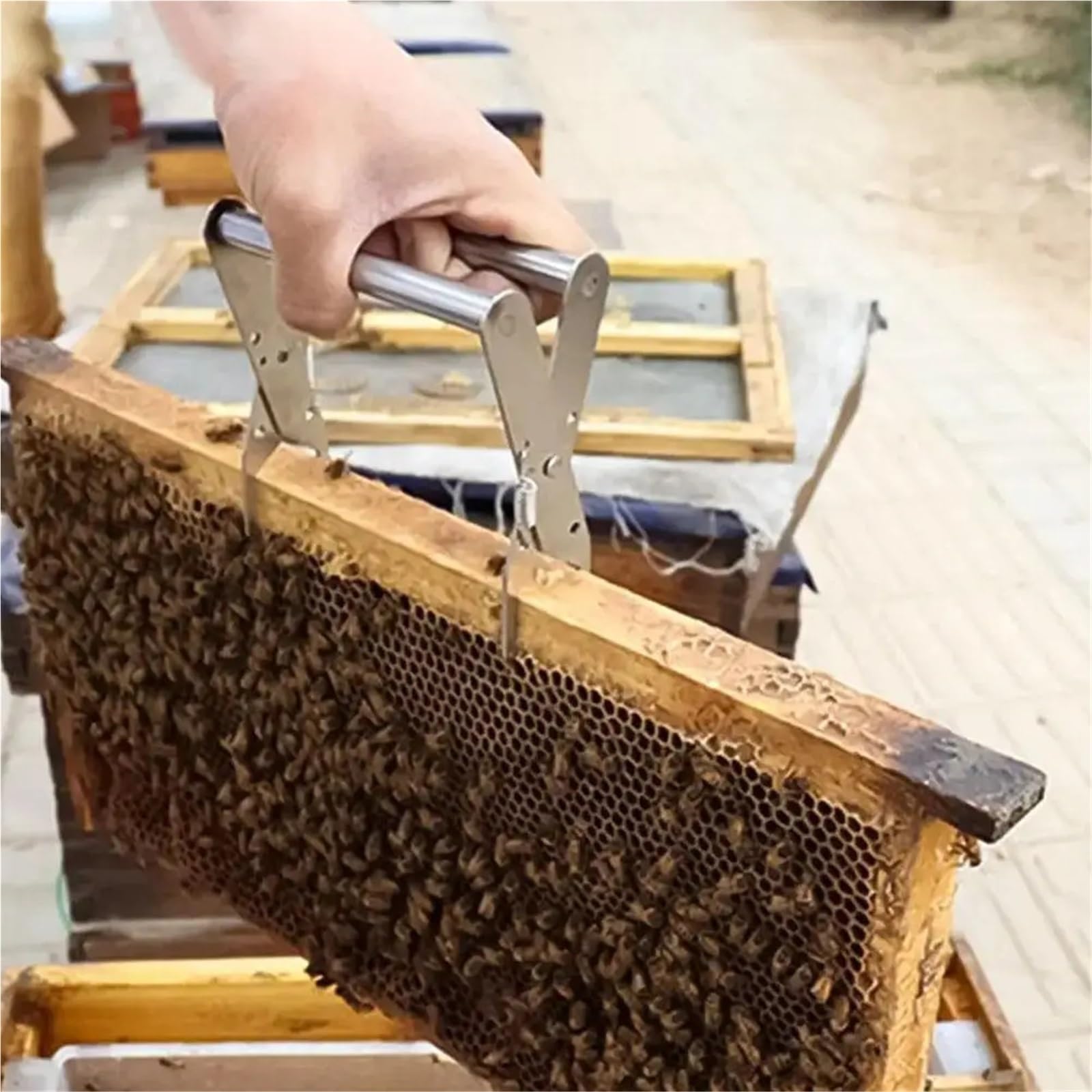 5-częściowy klips do ramki ula, uchwyt na ramkę gniazda dla pszczół, narzędzie systemu pszczelarskiego, pszczelarstwo, sprzęt hodowli dla Pszczelarstwa