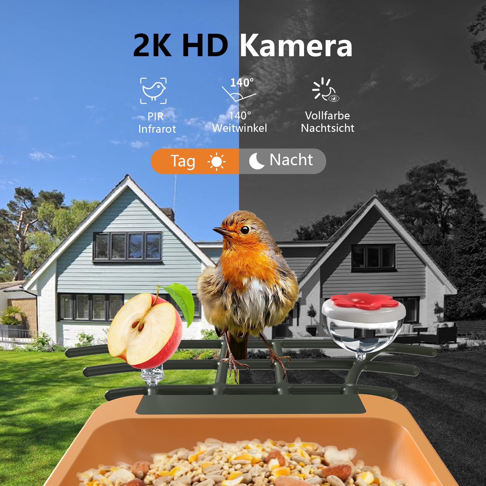 Vogelfutterhaus mit Kamera 2K HD Vollfarbe Nachtsicht KI Vogelerkennung Sofortiger Benachrichtigung Automatisch Aufnahme von Vogelvideos, Vogelhaus mit Kamera Solarbetrieben