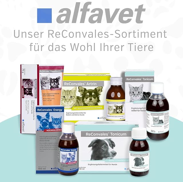Foto 8 de 8 de Alfavet ReConvales Tonicum Hund - 6 x 90 ml