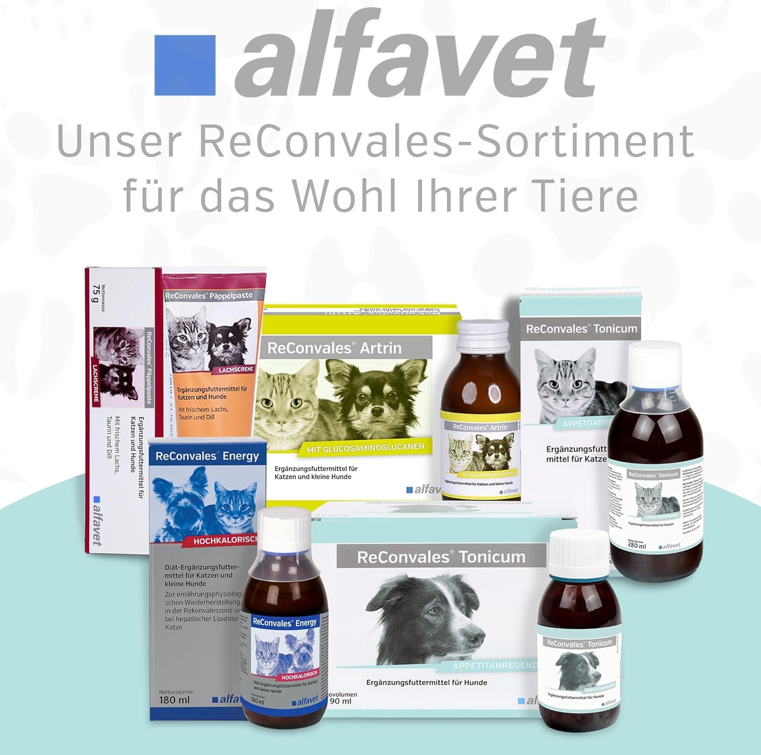 alfavet ReConvales Tonicum Chat, Multipack, complément Alimentaire diététique Stimulant l'appétit pour la Convalescence et en Cas de Poids insuffisant, 12 x 45 ML