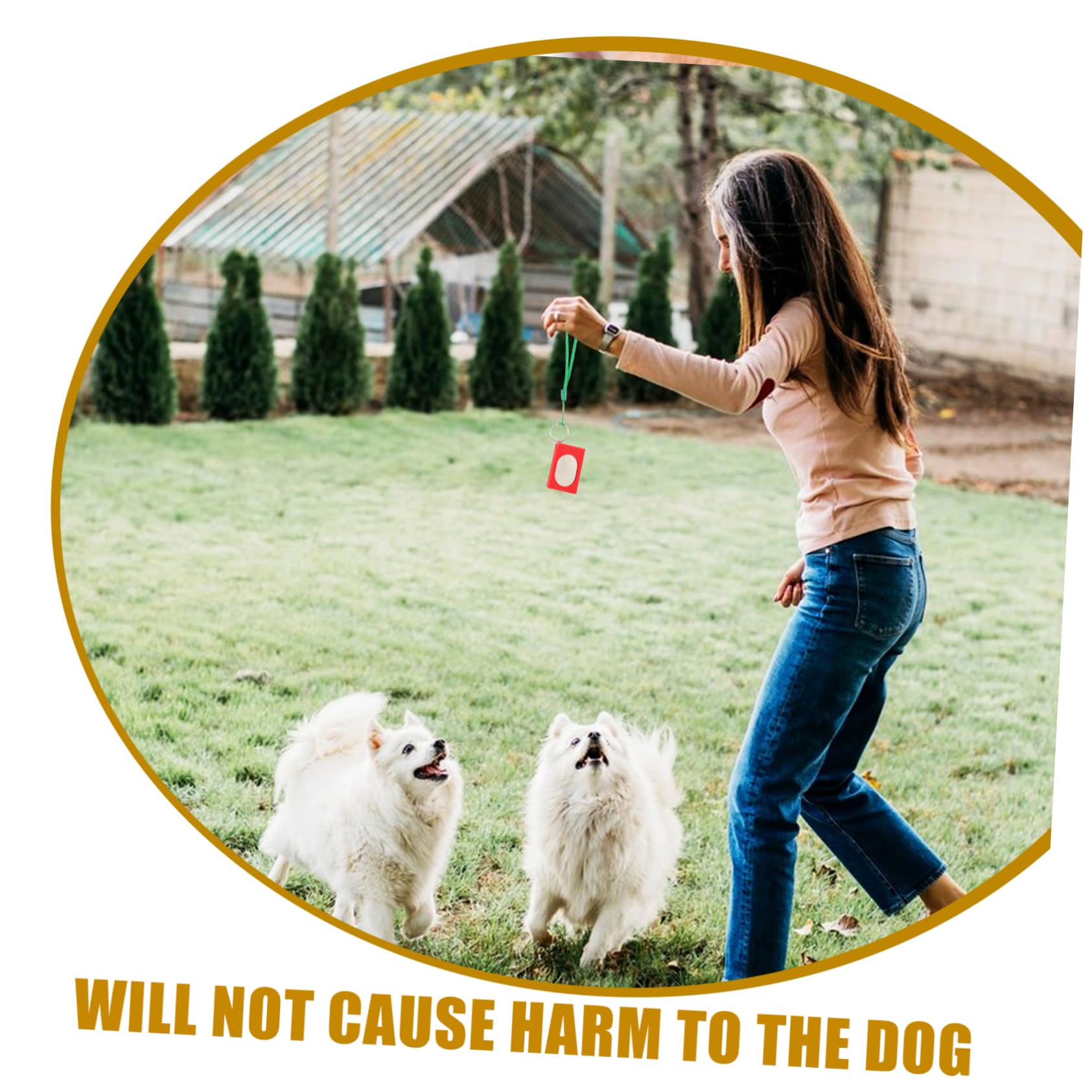 Sosoport 10stücke Clicker Für Hunde Pet Training Tool Zur Verhaltenskorrektur Effektives Training Für Welpen Und Erwachsene Geeignet Für Töpfchentraining Und Haustraining