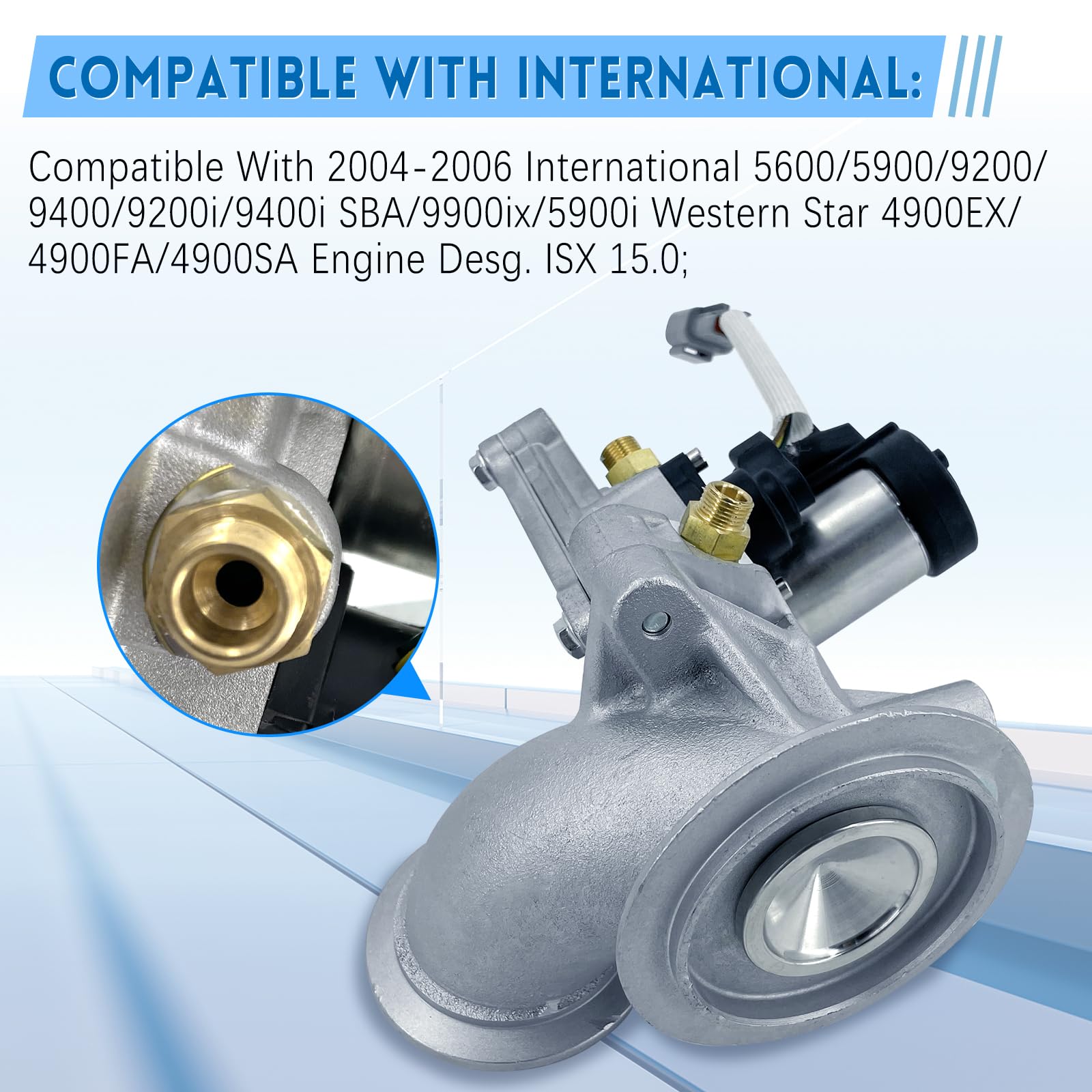 71Yp9oUB7QL.jpg