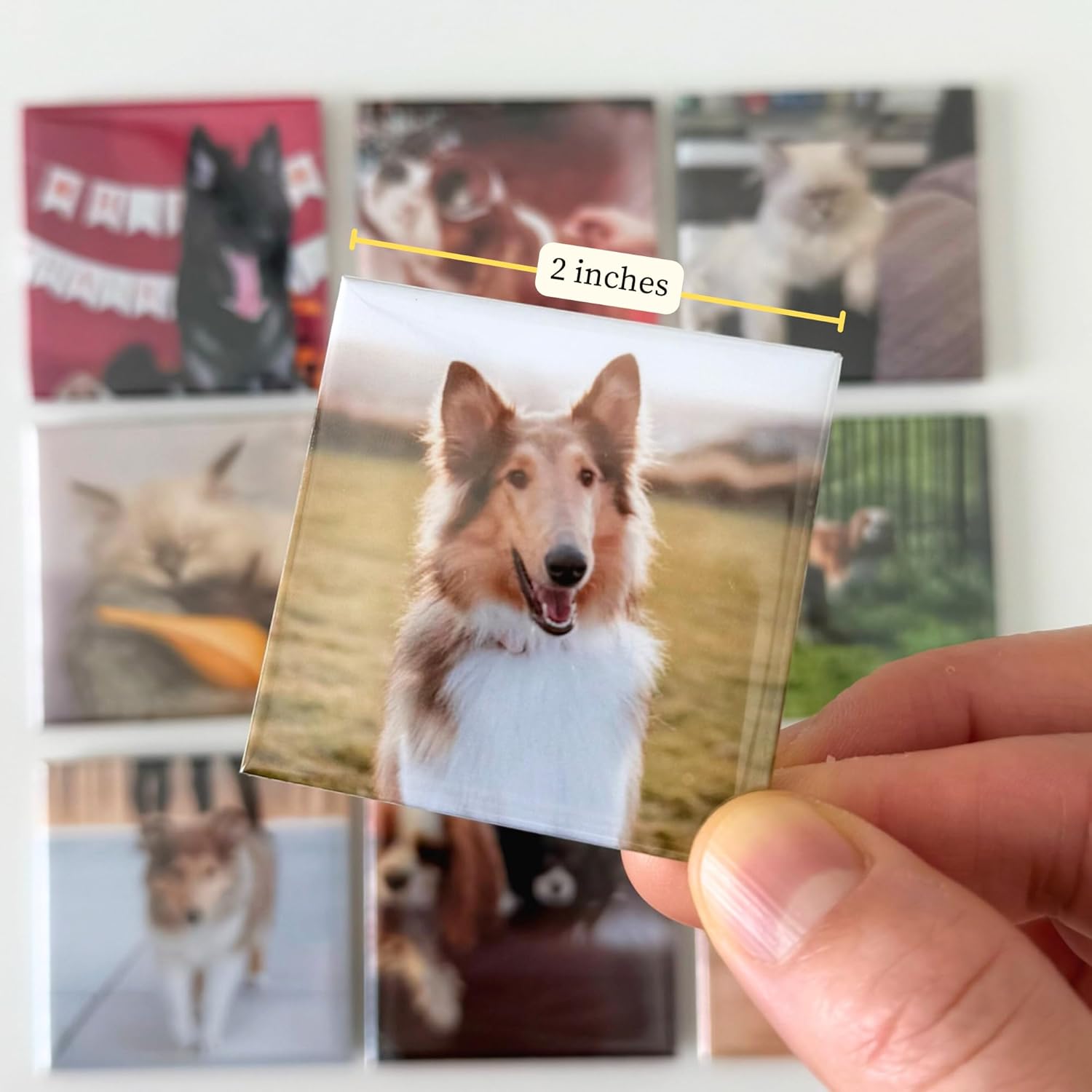 Custom Photo Magnets 2x2” – Set of 20 – Personalized Fridge Magnets with Your 20 Pictures – 50x50mm Durable Keepsakes for Family, Baby Showers, Kids’ Art, Pet Memories & Businesses (Set of 20)