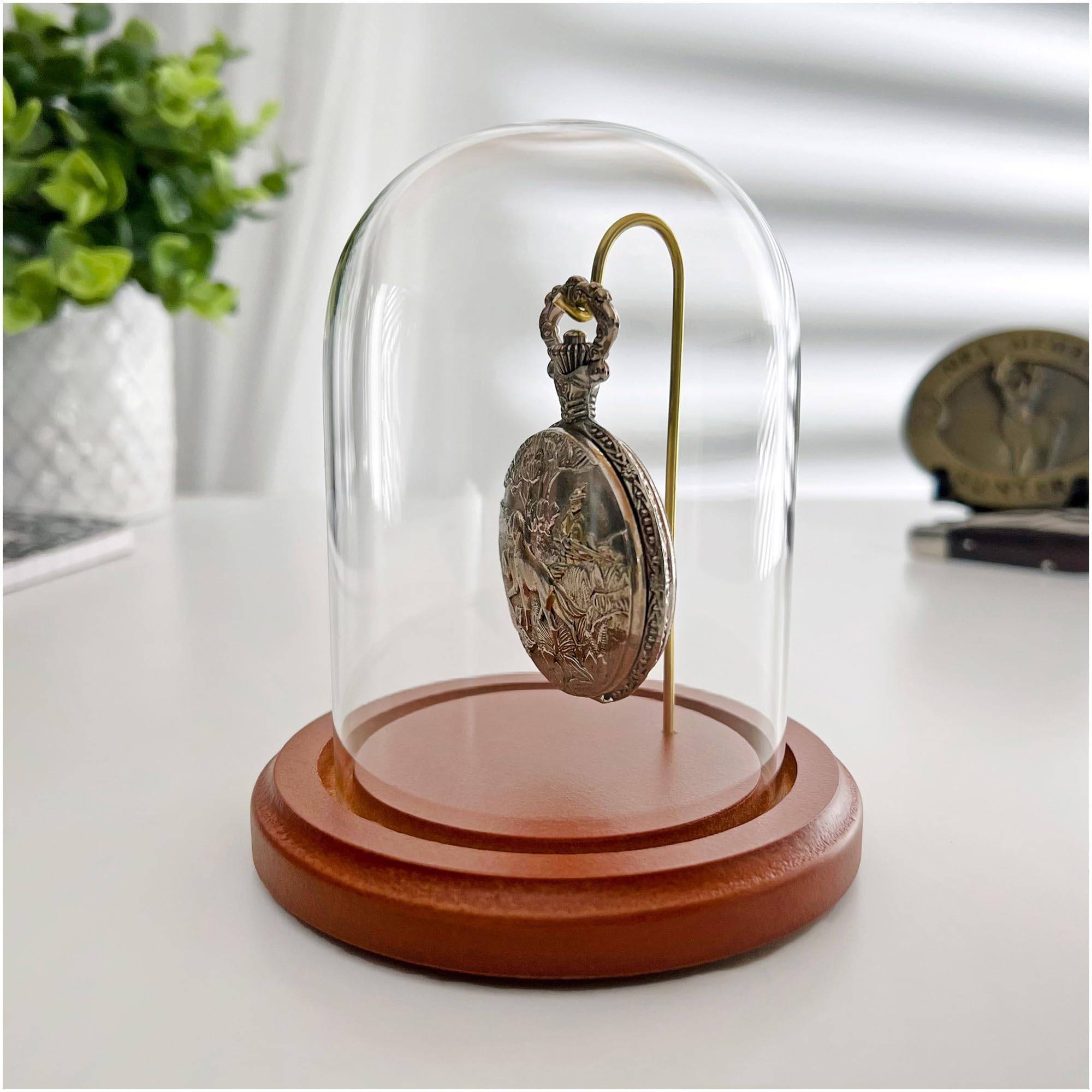PlyMor 7,6 x 10,2 cm Armbanduhr/Ornament-Glas-Display, gewölbte Glocke (MDF-Basis und Messingdraht)