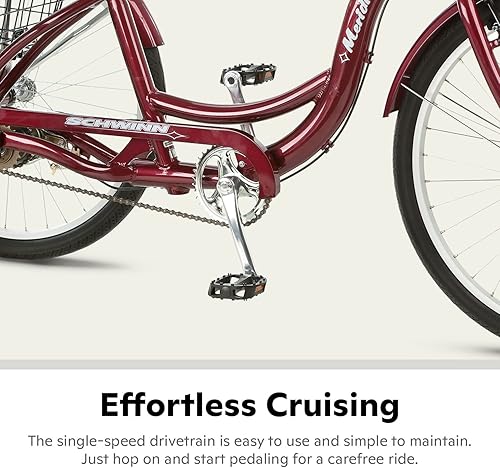 Miniatura 3 de Schwinn Meridiano