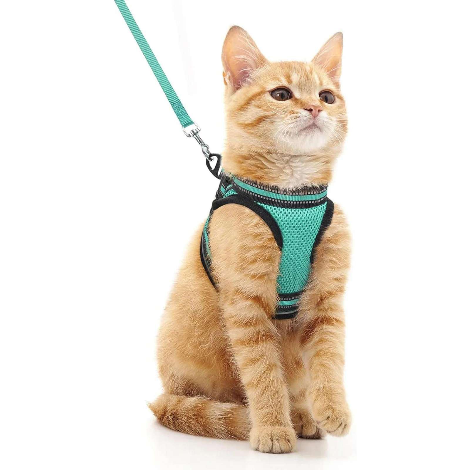 Katzengeschirr und Leinenset zum Ausbrechen Fluchtsichere, verstellbare weiche Kätzchenweste mit reflektierendem Streifen