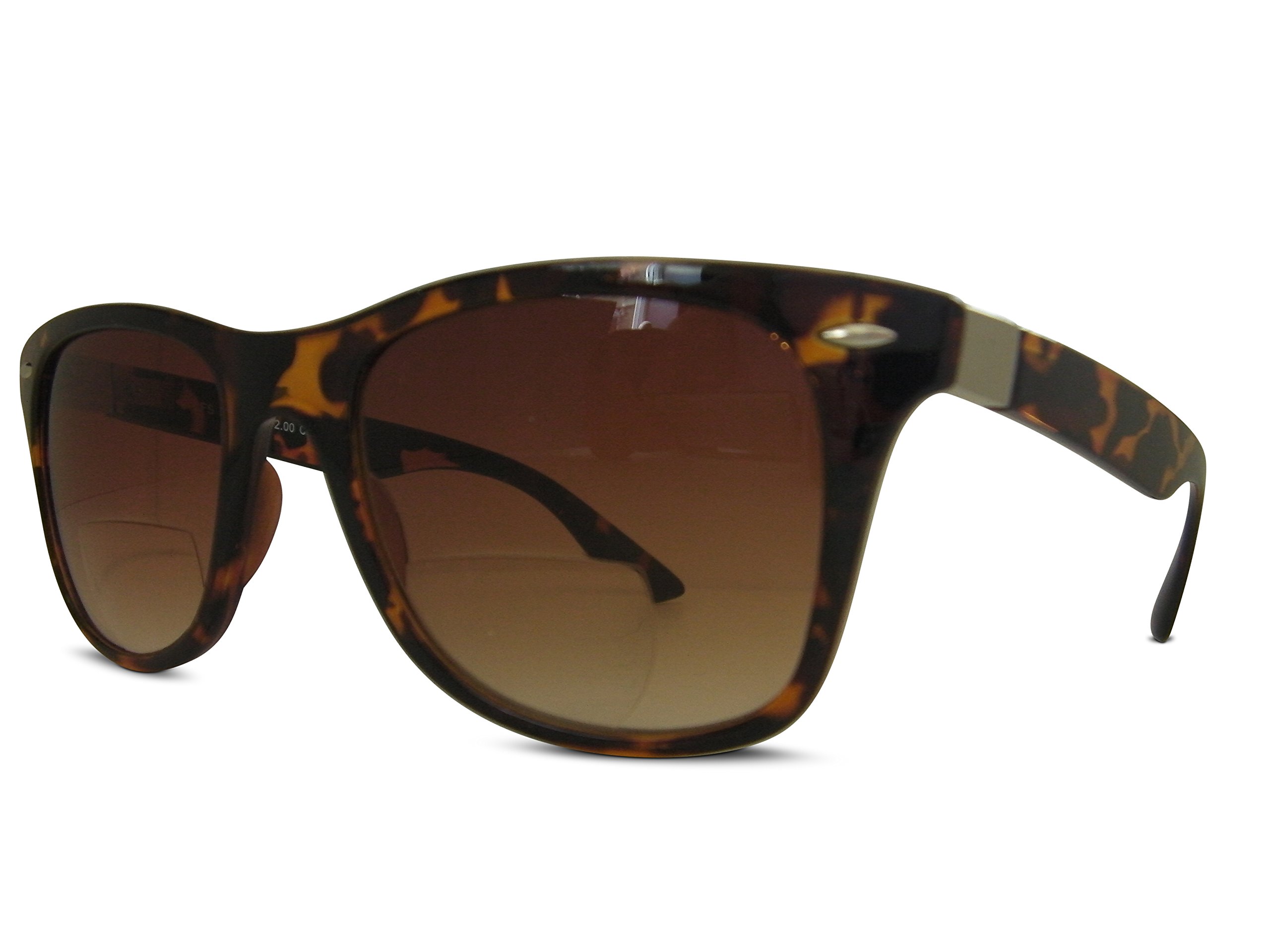 Austin Bifocal Sunglasses with Silver Arm Detailing (Tortoiseshell, 1.25)