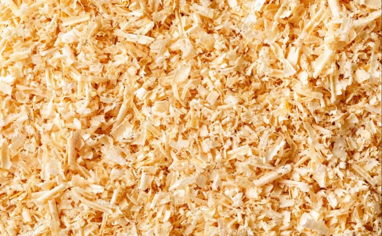 Wudpro Natural Wood Shaving Bedding for Hamster, Dwarf, Mice, Gerbil, Rabbit and Guinea Pig 500 Grams (B0BM42Q1MK) Amazon Price History, Amazon Price Tracker