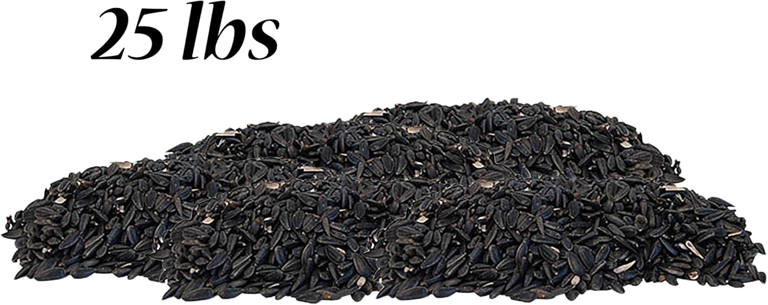 Black Oil Sunflower Seed, 25 lbs.