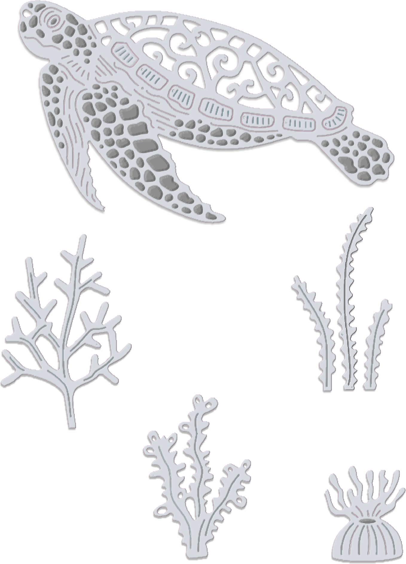 Sea Turtle