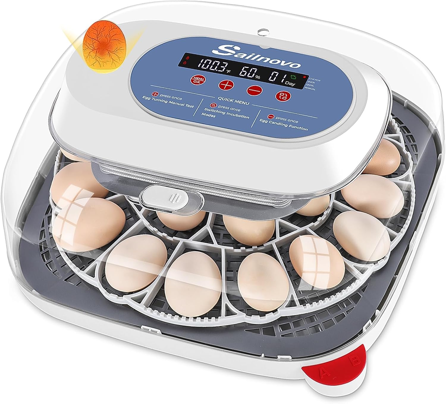 Sailnovo 24 Egg Incubators for Hatching Eggs - Automatic Temperature Control and Egg Turning, Egg Candler, 360° Clear View Incubator with 4 Hatching Modes for Chicken, Duck, Quail Eggs (Blue)