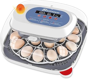 Sailnovo 24 Egg Incubators for Hatching Eggs - Automatic Temperature Control and Egg Turning, Egg Candler, 360 Clear View Incubator with 4 Hatching Modes for Chicken, Duck, Quail Eggs Blue