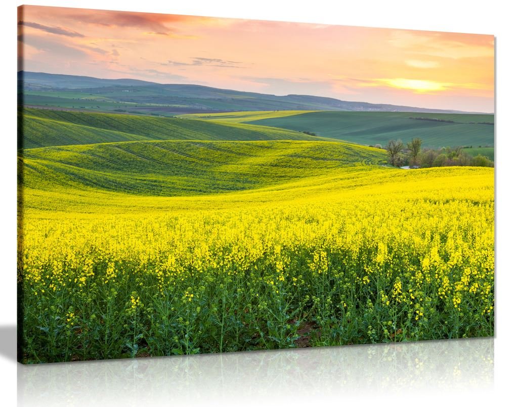 Panther Print Yellow Beautiful Spring Hills Valley Landscape Canvas Wall Art Picture Print (24X16)