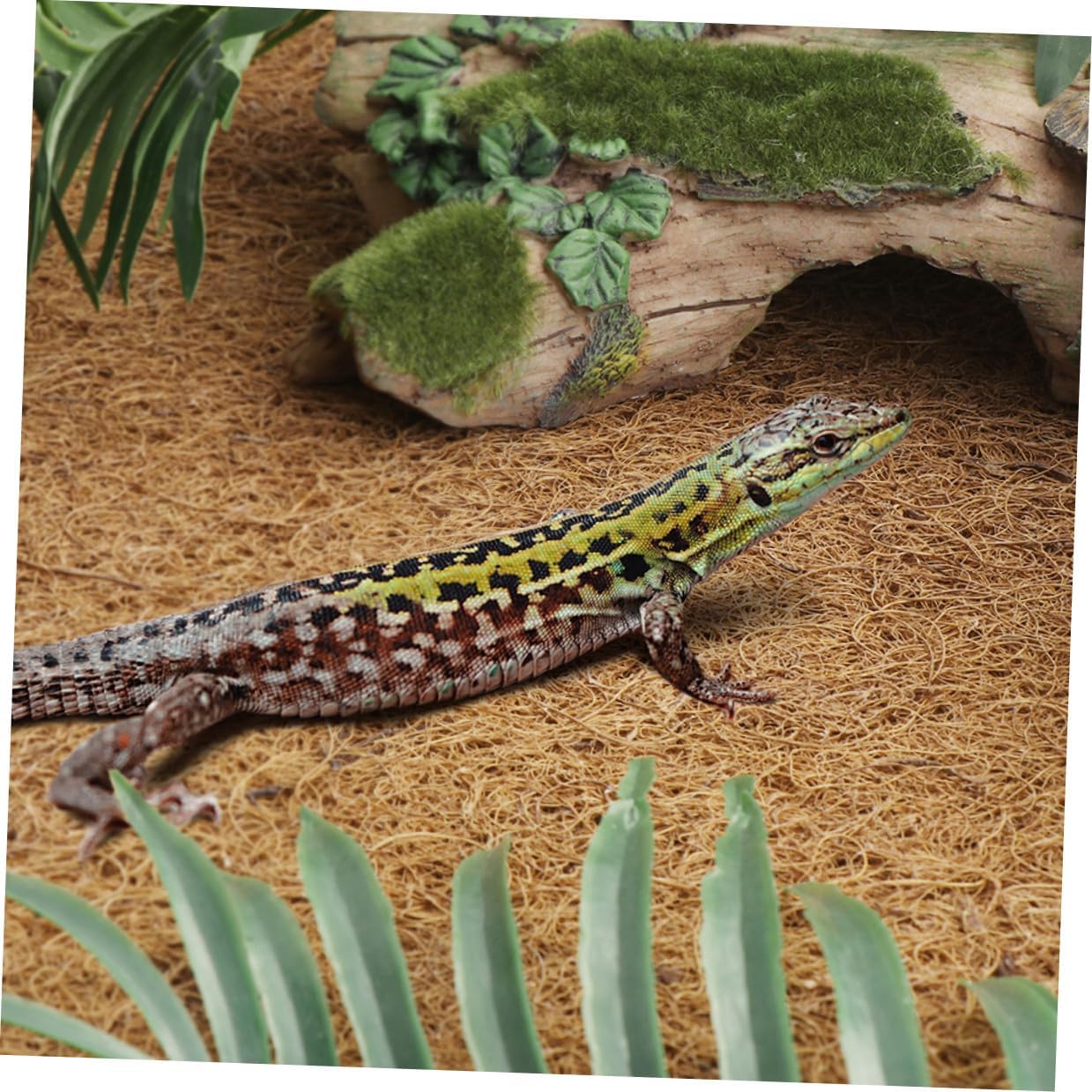 Angoily Reptile Terrarium Bedding Mat Coconut Fiber Substrate Liner for Lizards Tortoise Bearded Dragon Soft Non-Slip Insulation Carpet Pad for Glass Enclosures