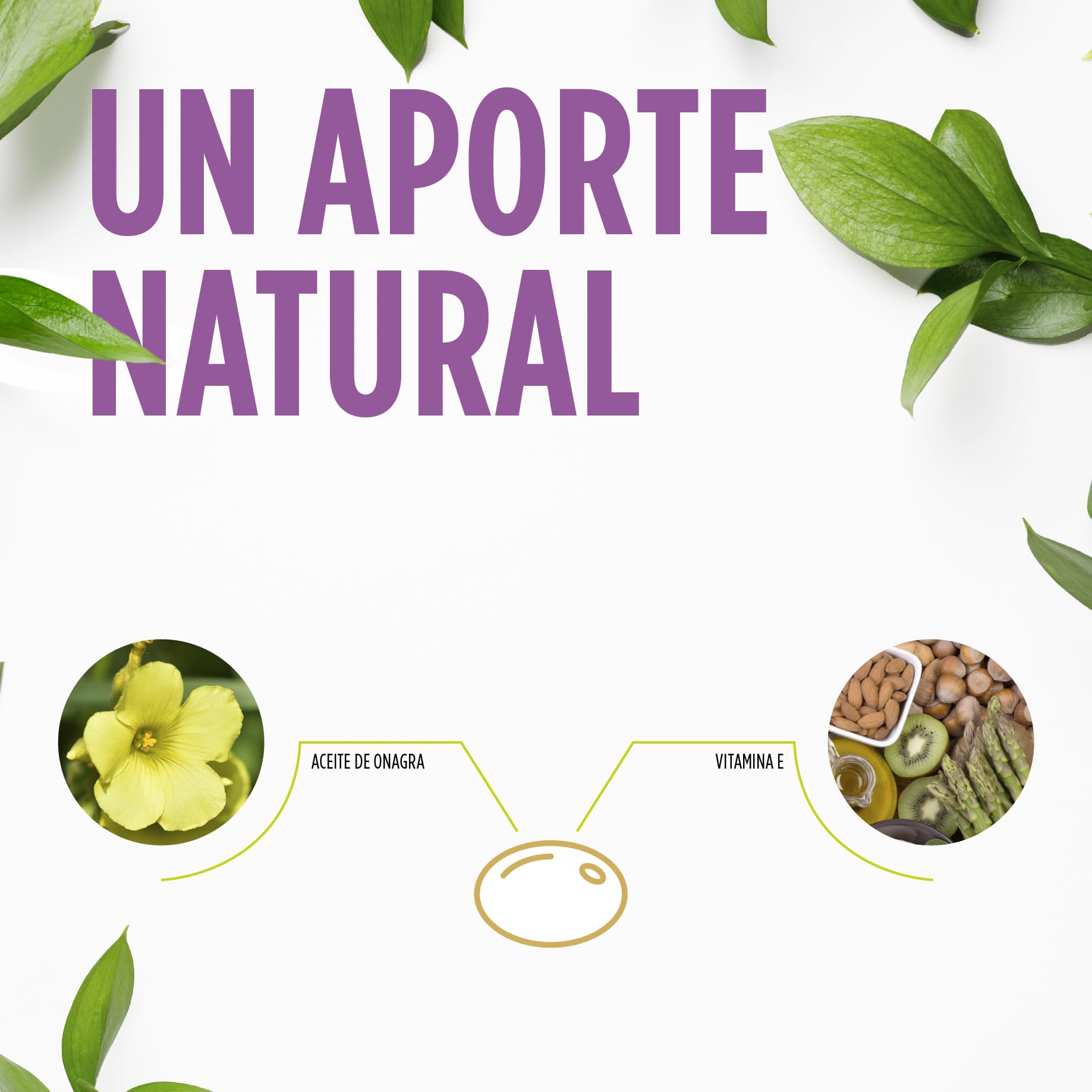Eladiet VitaWoman Aceite de Onagra 10% GLA - 450 Perlas [5 Meses] con Vitamina E - Salud Hormonal Mujer y Bienestar en la Menstruación