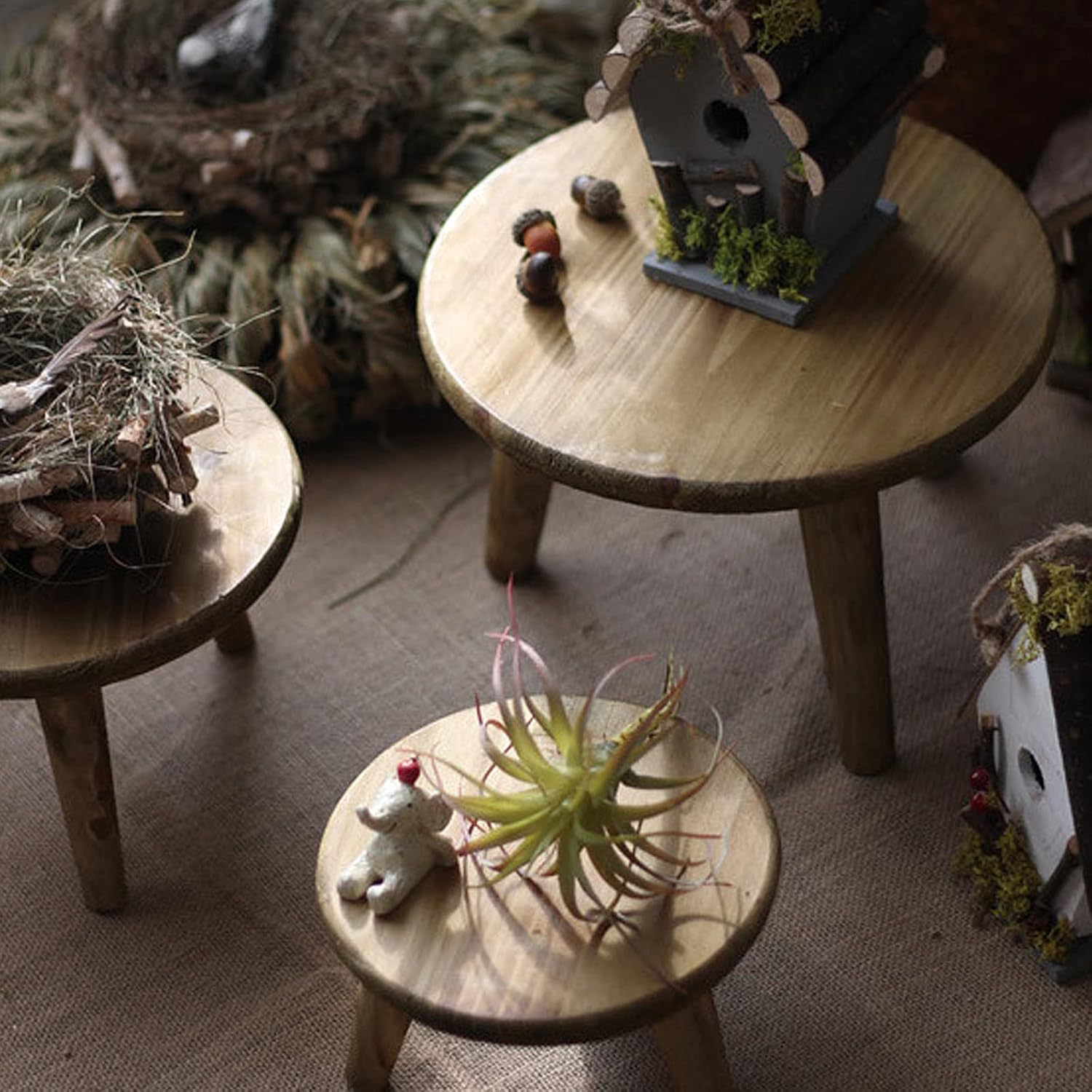 CDQL Mini Wooden Stool Display Stand,Round Stool Bonsai Holder,Wooden Plant Stand,Indoor Plant Stand Table,Plant Pot Riser Holder for Home Balcony House Garden Indoor Outdoor (M)