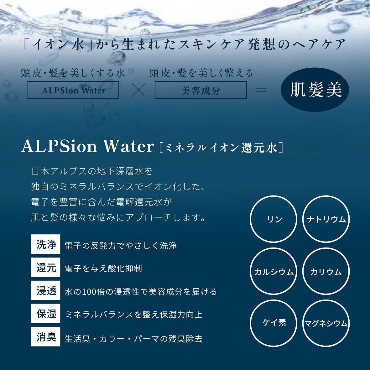 Amazon | ALPSion アルピジョン イオンヘアトリートメント NEO 490g