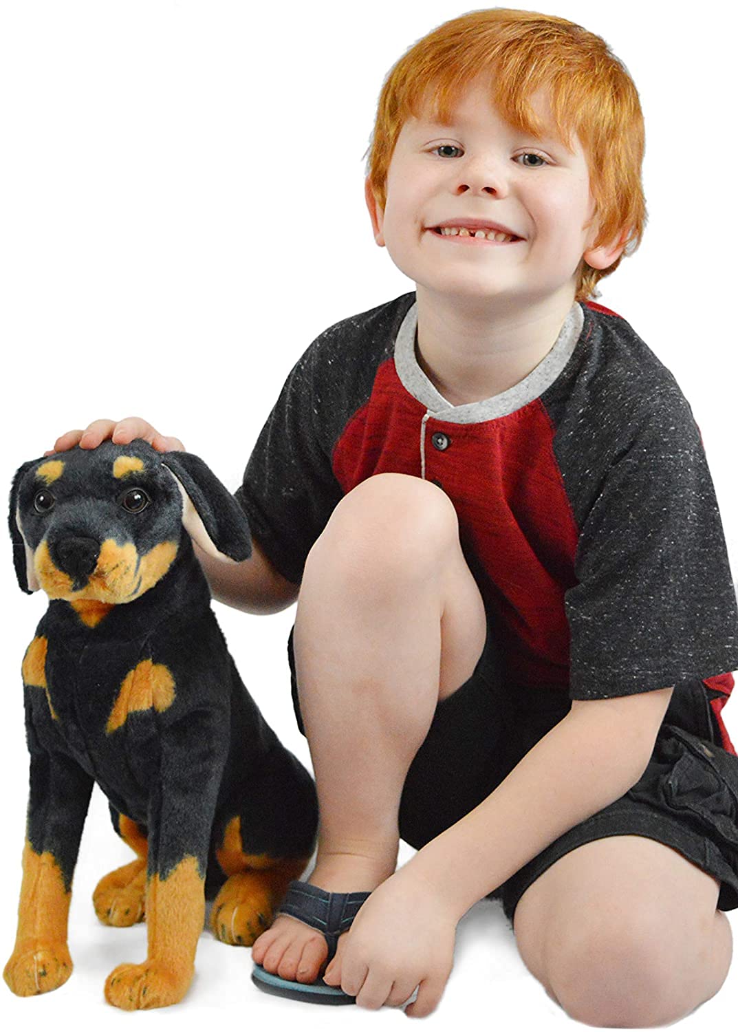 cootie クッション2セット クーティー kj rottweiler ROTTWEILER