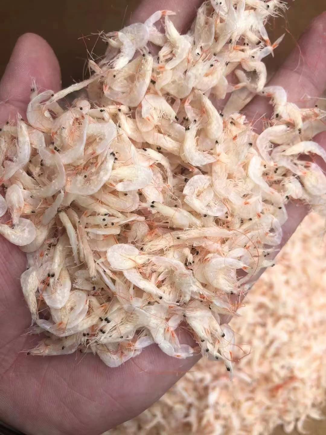 krewetki, brudzone krewetki, owoce morza, suszone krewetki do gotowania (1000g)