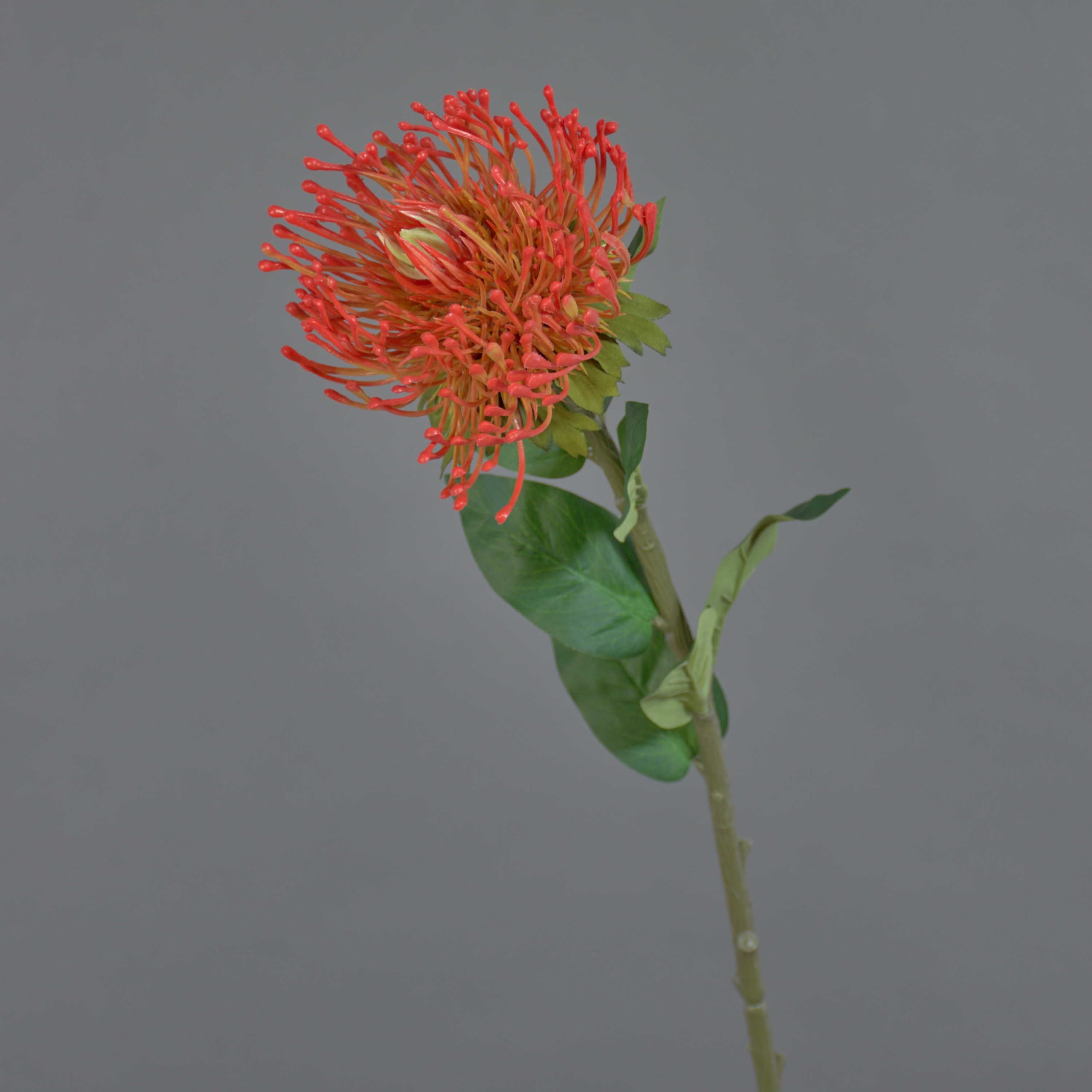 artplants.de Faux Protea HERVAS, red, 70cm - Protea silk flower/Fake Sugarbushes
