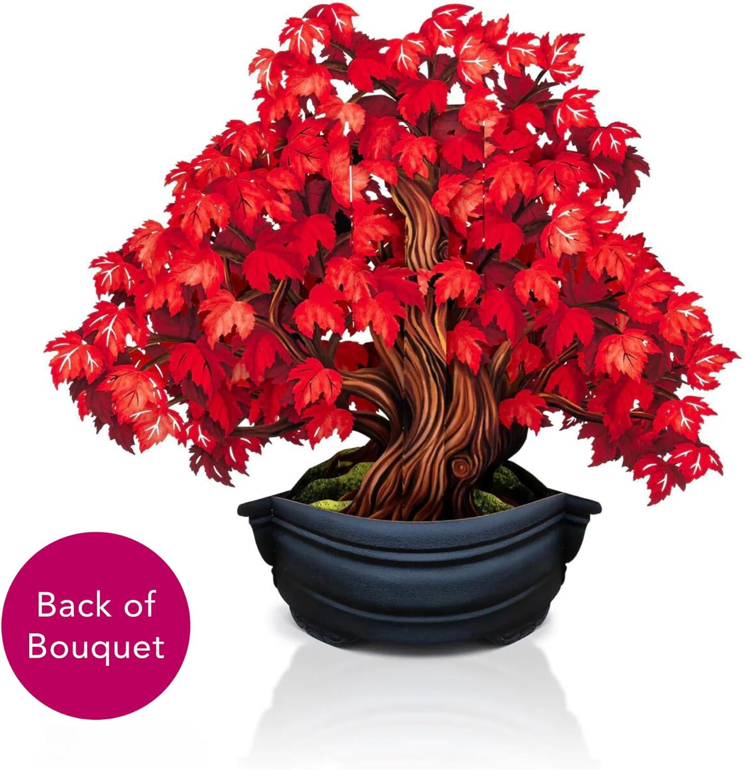 Freshcut Paper Pop Up Cards, Red Maple Tree, 12 Inch Life Sized Forever Flower Bouquet 3D Popup Greeting Card, Autumn Cards, Birthday Card, Blank Notecard & Envelope - Image 9