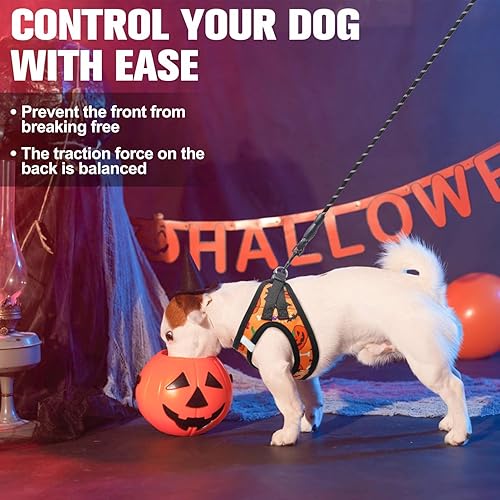 Miniatura 245 de BEAUTYZOO Juego de arnés y correa para perro, arnés reflectante para perro, sin tirones, sin estrangulamiento, para perros pequeños, medianos
