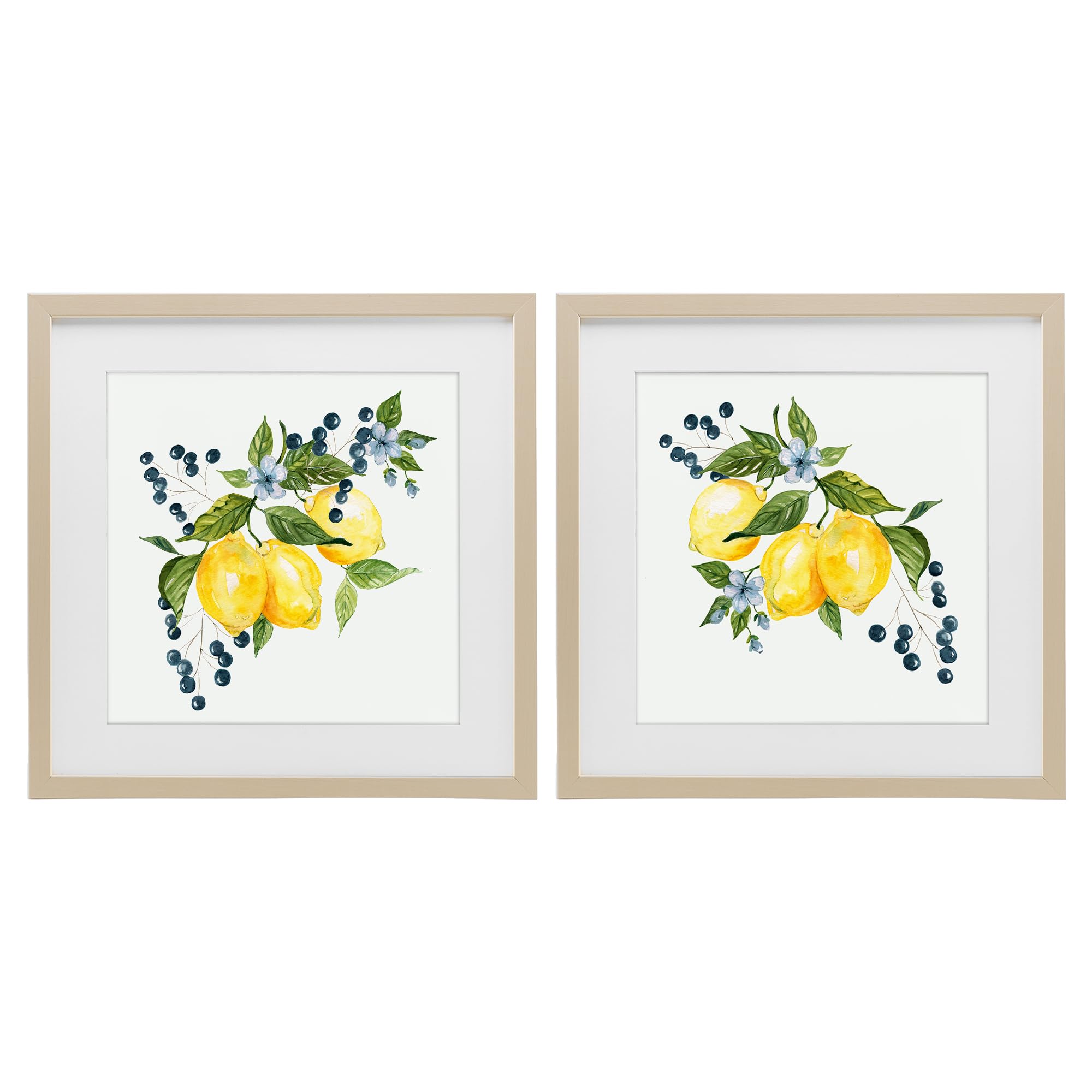 Citrus Berries Botanical, 16 x 16 Inch Framed Print Under Glass Set