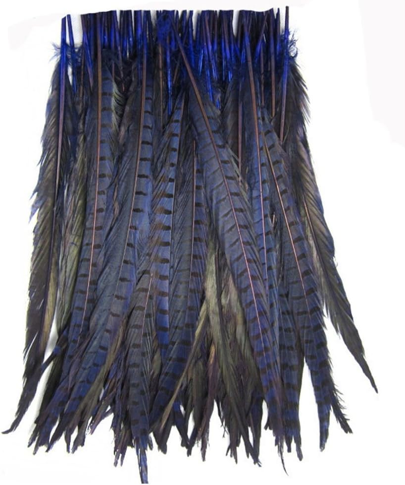 KOLIGHT Set of 50pcs Natural Dyed Pheasant Tails Feathers 12-14 Inch DIY Decoration (Orange)