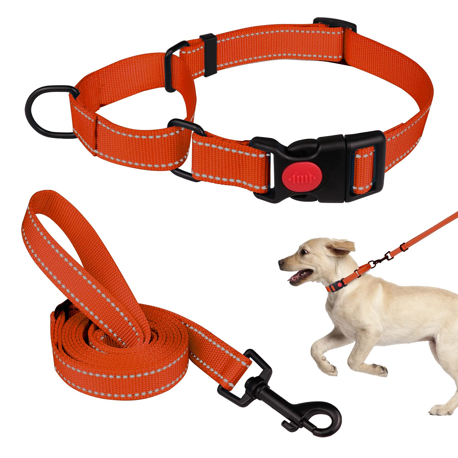Martingale Dog Collar and Leash Set Martingale Collars for Dogs Reflective Martingale Collar for Small Medium Large Dogs(Orange&S)