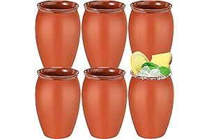 6 Pcs 12 Oz Mini Cantaritos Ollas De Barro Mexicanas