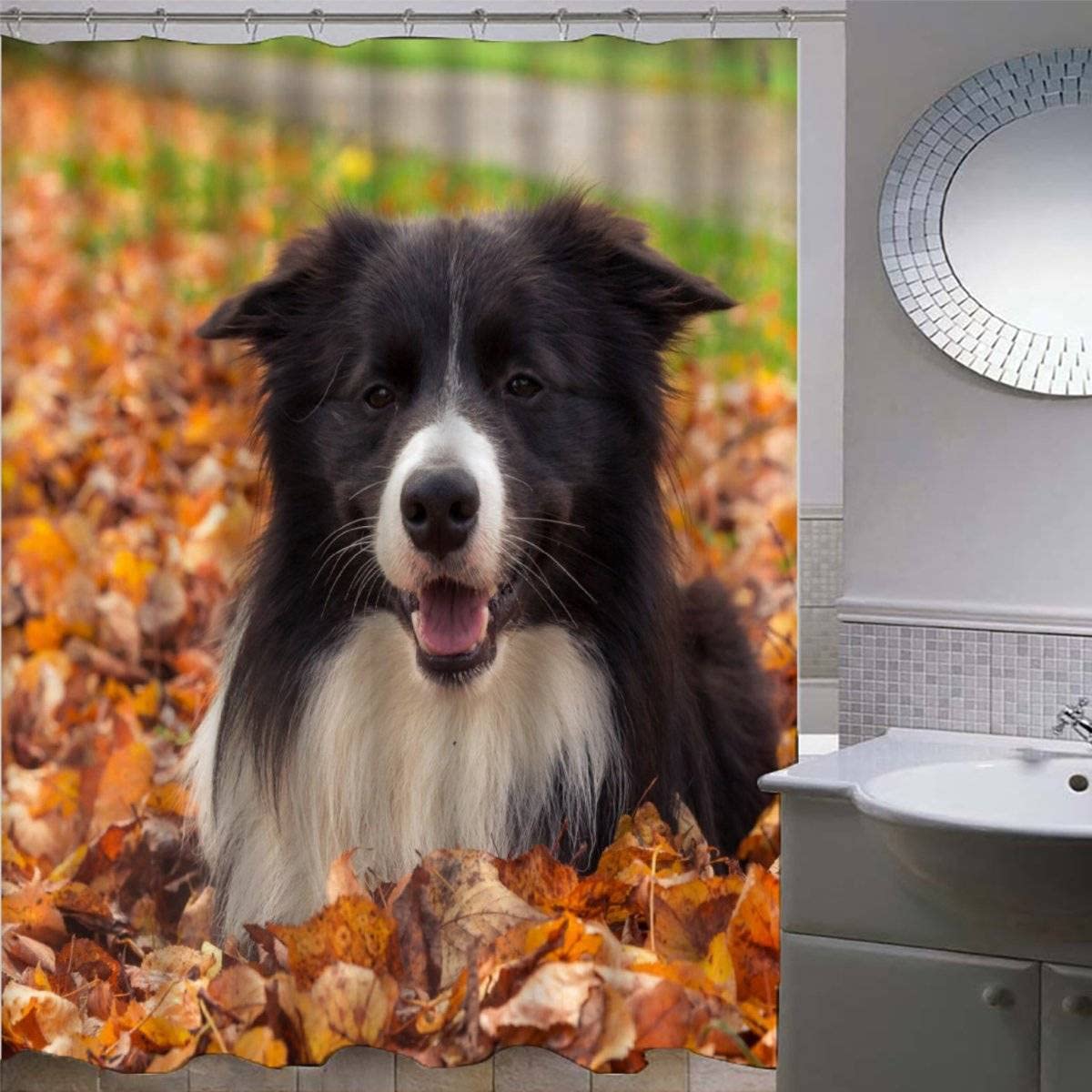 Shower Curtain 180x180cm Waterproof Shower Curtain Border Collie Bath Curtains for Shower Wet Room Unique Printed Animal Dog Shower Curtain Rust Proof Eyelets