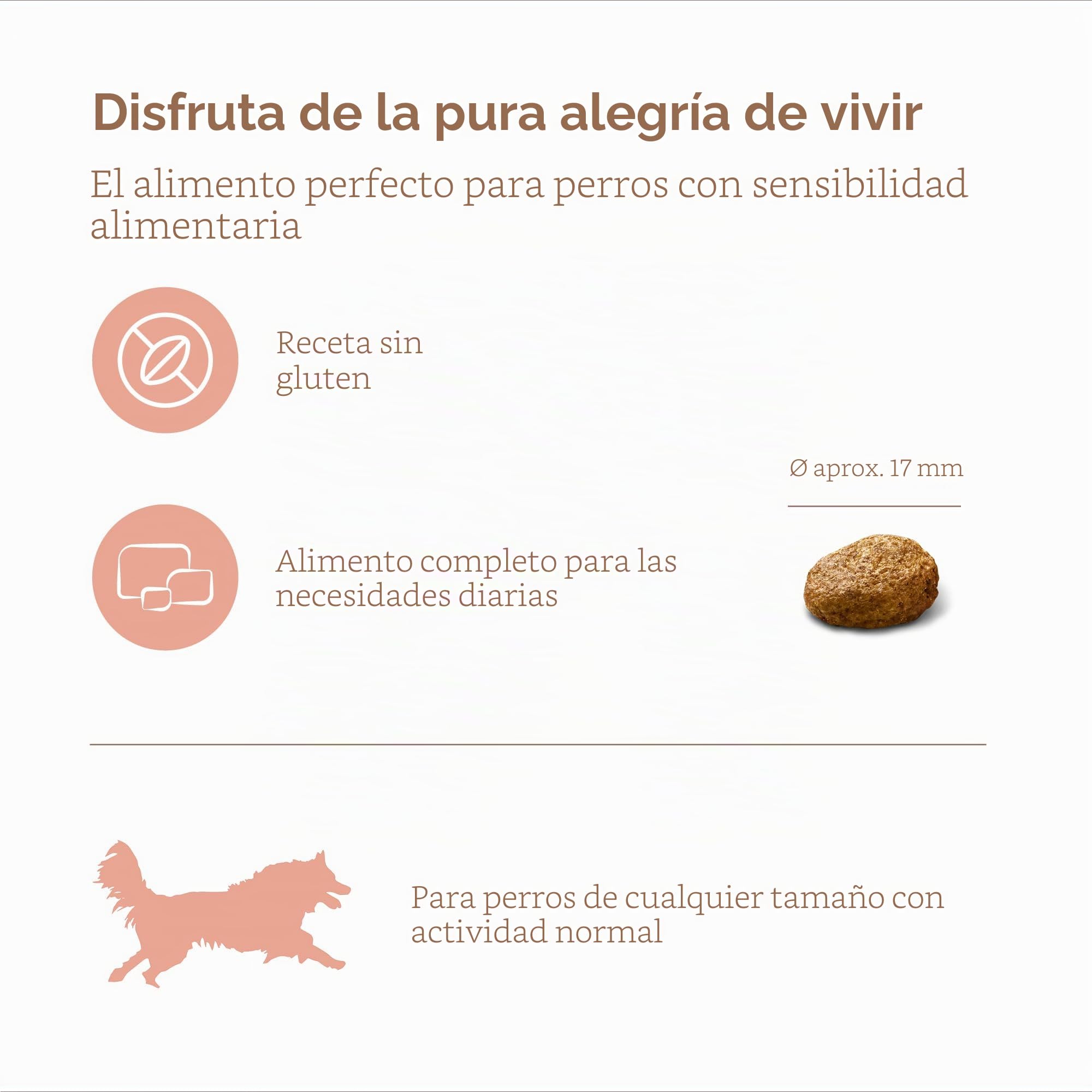 MERA pure sensitive salmon & rice, alimento seco para perros sensibles, alimento seco a base de salmón y arroz, alimento para perros adultos, sin trigo ni azúcar (12,5 kg), 1 pieza