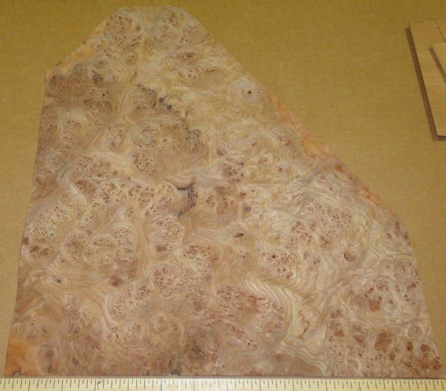 Carpathian Elm Burl Wood Veneer 13'' x 15" raw Veneer with no Backing AA Grade