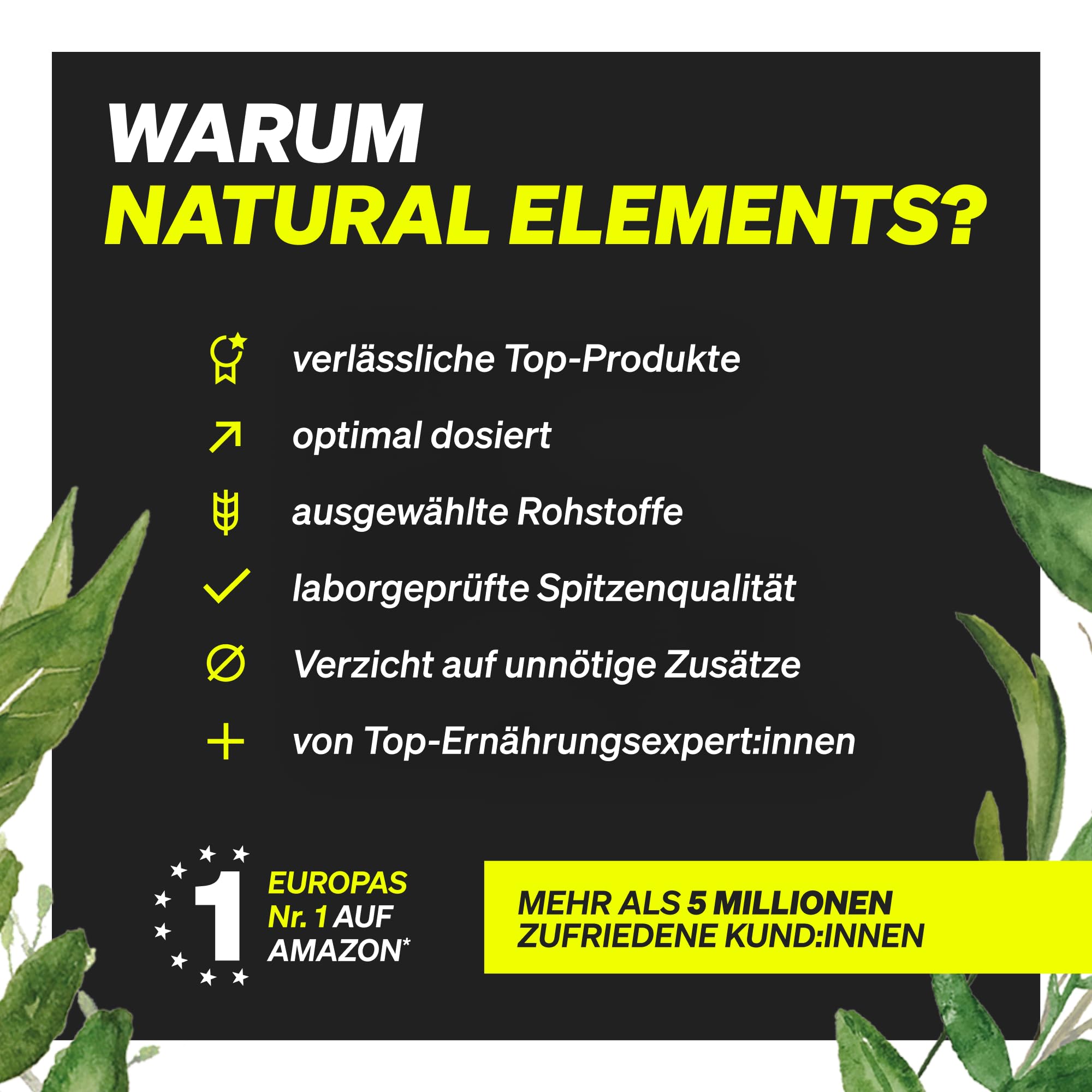 natural elements Omega 3 – 365 Kapseln – 2000mg Fischöl pro Tagesdosis – mit EPA und DHA in Triglycerid-Form – Laborgeprüft und aufwendig aufgereinigt