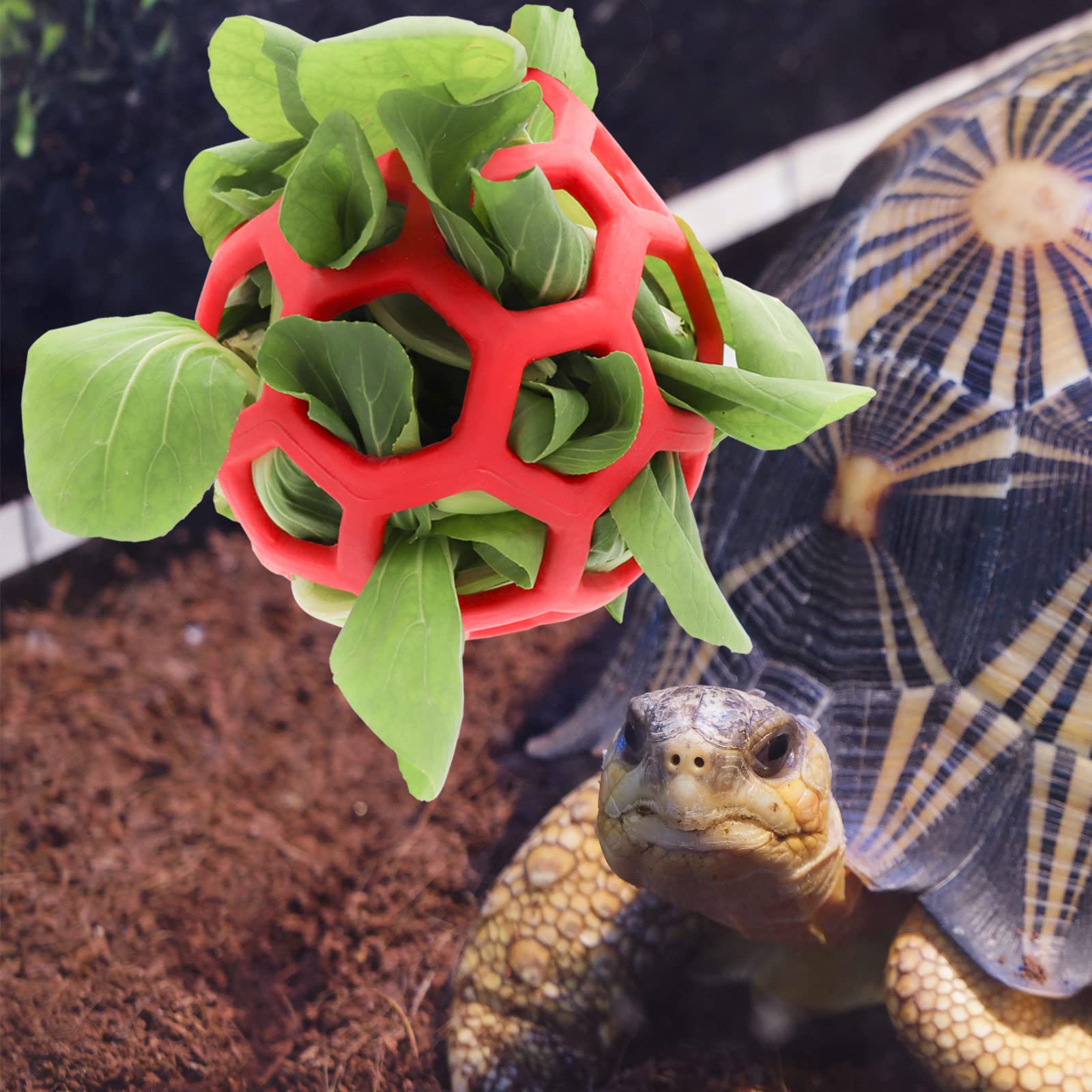 Schildkröten-Leckerliball Aus Edelstahl – Hängender Futterball Für Heu, Obst & Gemüse, Verstellbar
