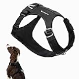 BuddyArmor Dog Harness, Lightweight No Pull Vest Harness, Pet Harness with Pocket, Dog Vest with Two Leash Attachment, Dog Training Harness for Outdoor Walking Running, Hiking (Midnight Black, XL)