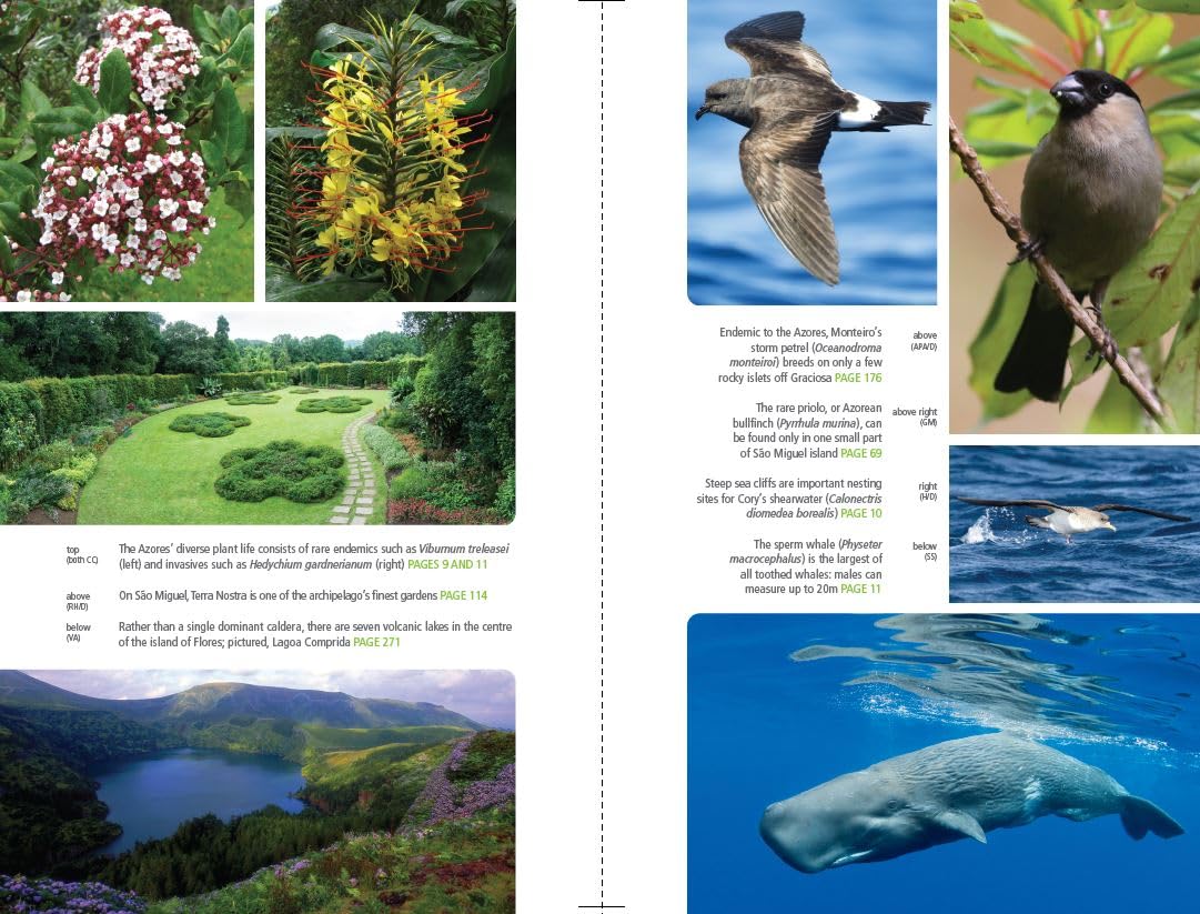Azores      Paperback – January 1, 2025