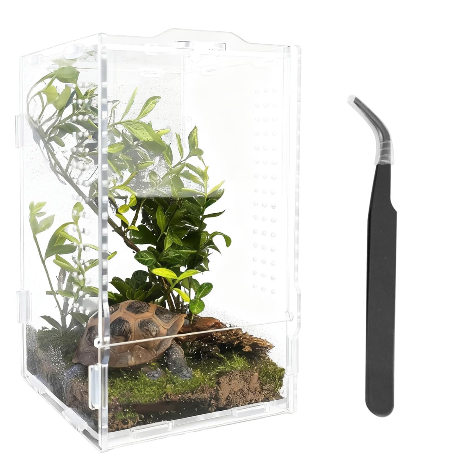 Reptile Terrarium Kit Vivarium Jumping Spider Enclosure Box 20 x 12 x 12cm Acrylic Transparent Stick Insect Enclosure for Tarantula Enclosure Lizard Mantis Gecko Tank Turtle Tank Nakes Frog